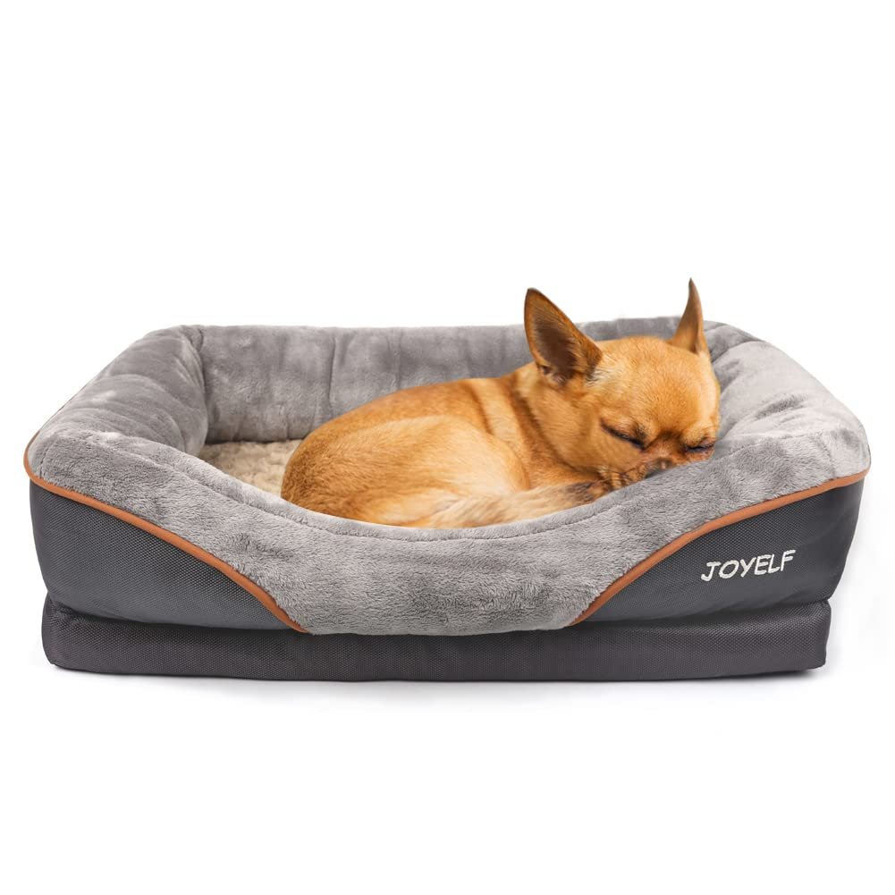 top senior dog beds looking at comfort,