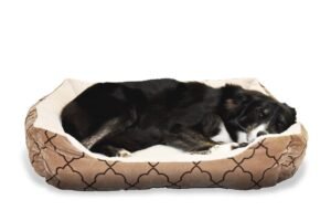 dog, pet, bed-1961112.jpg